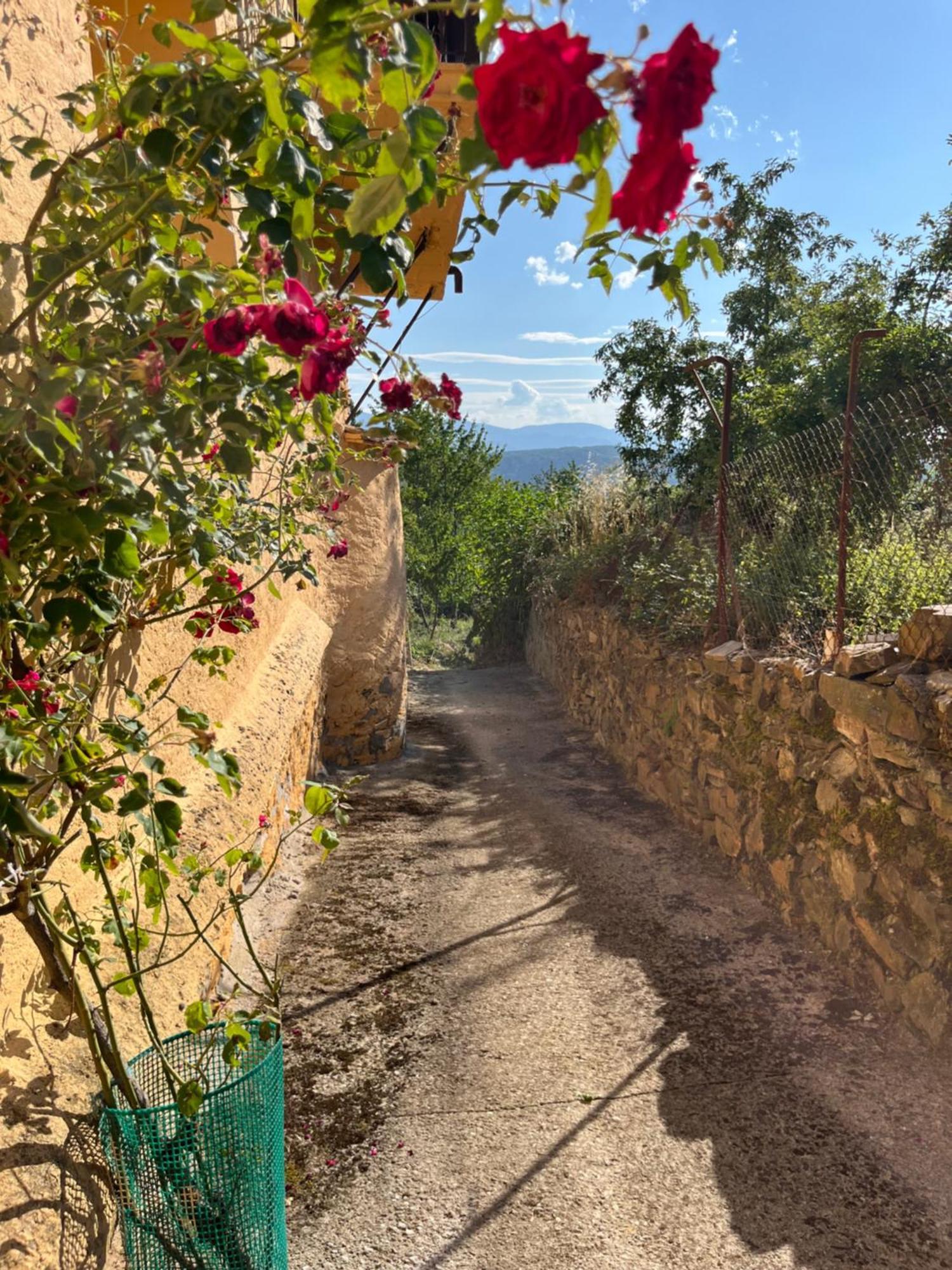 La Casina De Gelo Villa Riego de Ambros Eksteriør bilde